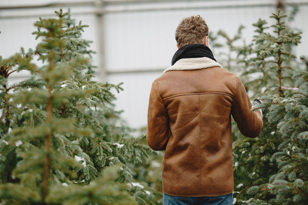 Cannabis Samen legal in Deutschland bestellen (2024)