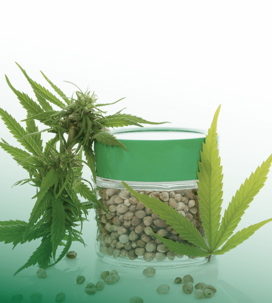 Cannabis Samen online kaufen