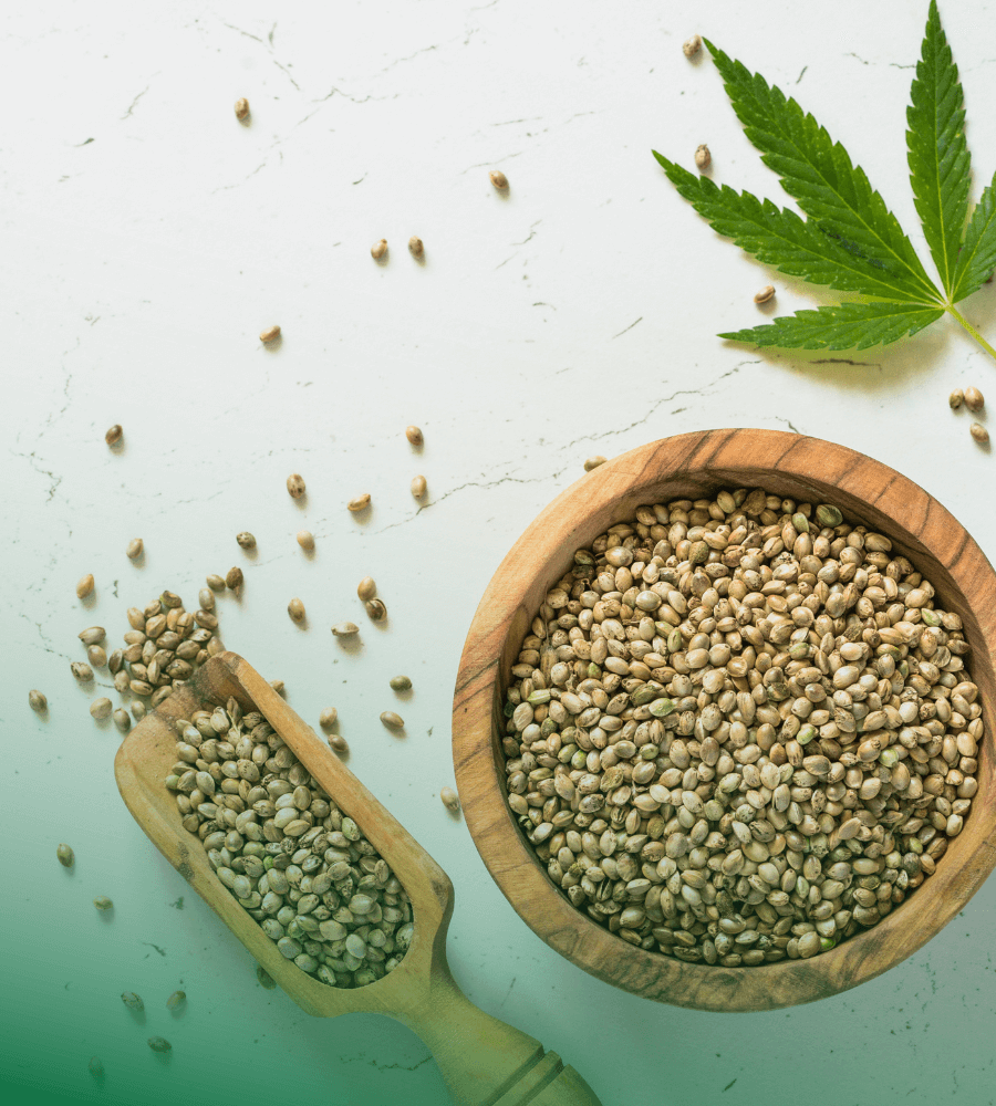 Cannabis Samen Wirkung