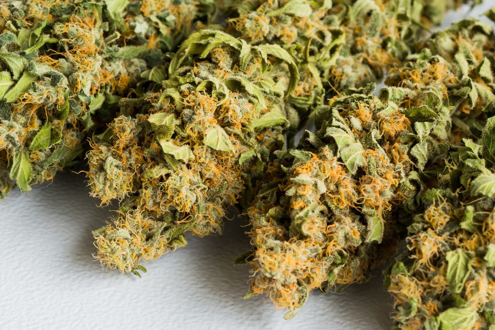 Gras (Weed)