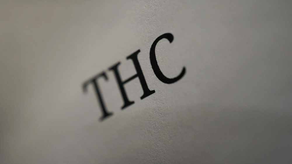 THC Messgeräte: Alles, was du über den Kauf wissen musst
