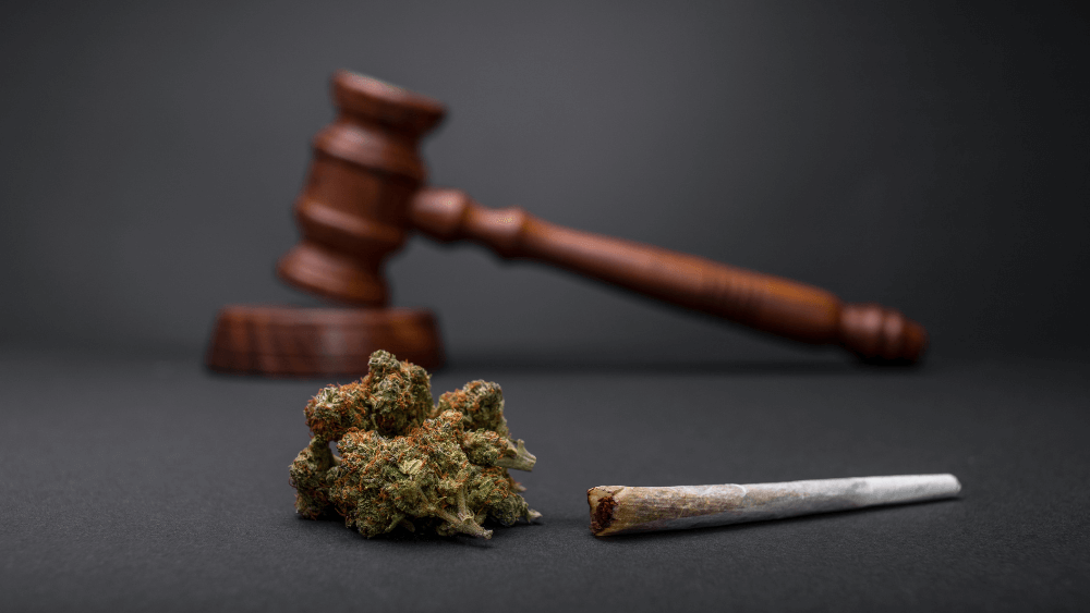 Cannabis-Teillegalisierung in Deutschland