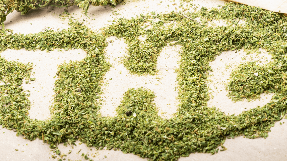 THC Legalisierung 2024 in Deutschland?