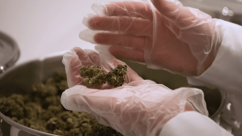 THC-B - Cannabinoid