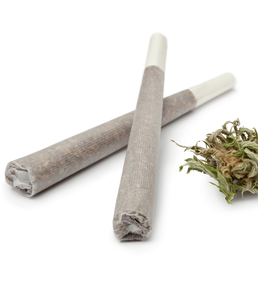 2 Joints auf einer weißen Fläche mit einer Cannabisblüte