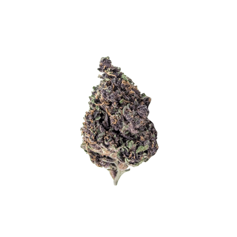 Cali Genetics Purple Milkshake 32,6% THC 🌱 3 Samen