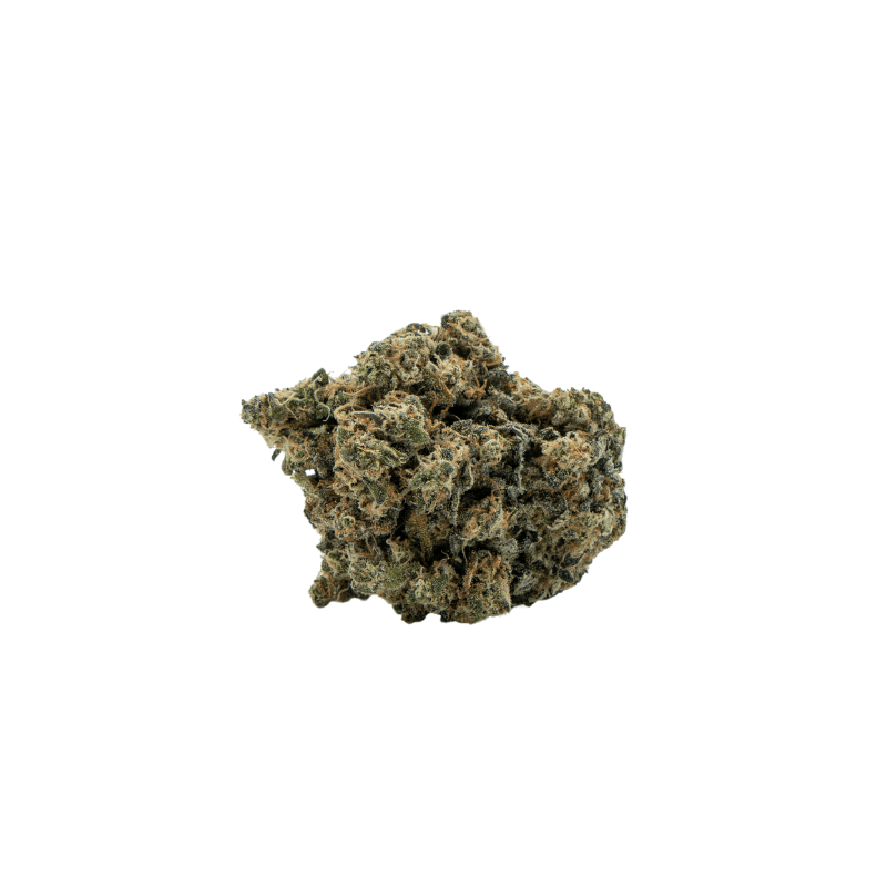 Cali Genetics Chocolate Mint OG 21,3% THC 🌱 Auto Flowering | 3 Samen