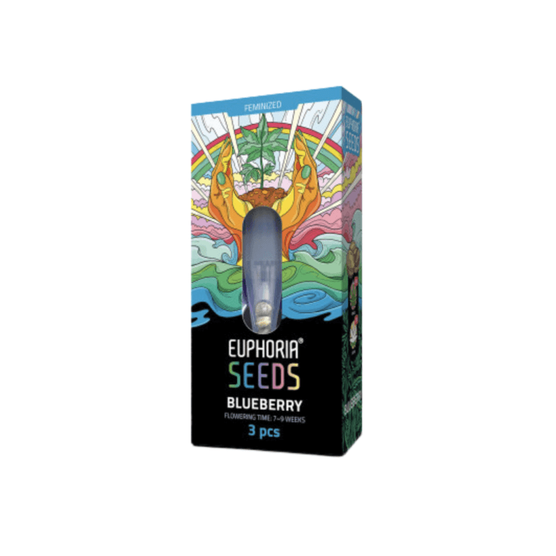 Cannabis Seeds Blueberry 3 Stück