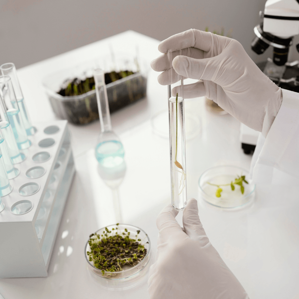 Cannabis-Überprüfung und Potenzanalyse