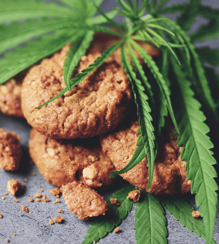 Hanf Cannabis Süßwaren